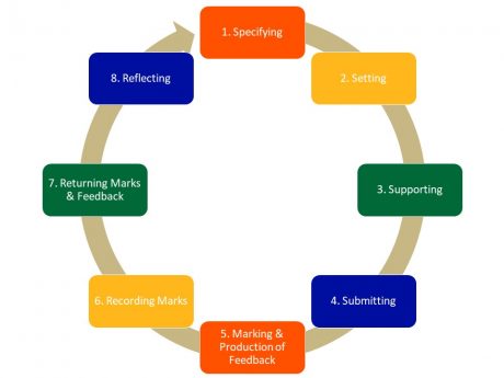 Assessment Lifecycle