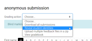 Screenshot highlighting the drop down menu and reveal student identities